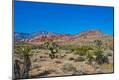 Photographic Print