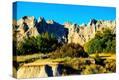 Stretched Canvas Print