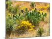 Photographic Print