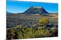 Premium Photographic Print