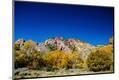 Photographic Print