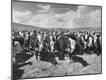 Photographic Print