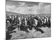 Photographic Print