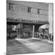 Premium Photographic Print