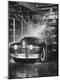 Photographic Print