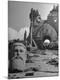 Photographic Print