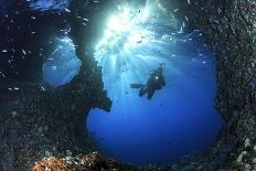 Lion Fish and Scuba Diver-Bernard Radvaner-Photographic Print