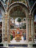 The Assumption of the Virgin-Bernardino di Betto Pinturicchio-Giclee Print