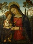 Virgin in Glory with St. Gregory and St. Benedict-Bernardino di Betto Pinturicchio-Giclee Print