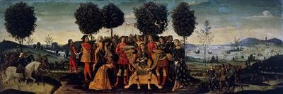 The Sacrifice of Isaac, 1485-Bernardino Fungai-Giclee Print