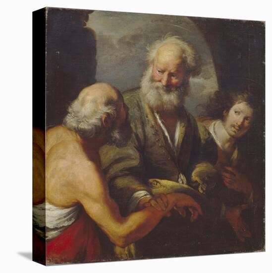 Stretched Canvas Print, , large