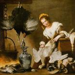 La Cuoca - a Kitchen Maid Plucking a Goose in an Interior-Bernardo Strozzi-Giclee Print
