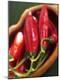 Premium Photographic Print