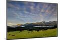 Photographic Print