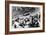 Bernd Rosemeyer Acclaimed by the Crowd, German Grand Prix, Nurburgring, 1936-null-Framed Photographic Print