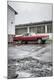 Photographic Print