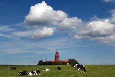 Cows Graze in Front of a Lighthouse in Bastorf, Germany-Bernd Wuestneck-Stretched Canvas