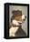 Bernese Dog with Collar-null-Framed Stretched Canvas