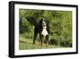 Bernese Mountain Dog 21-Bob Langrish-Framed Photographic Print