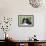 Bernese Mountain Dog 38-Bob Langrish-Framed Photographic Print displayed on a wall