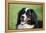 Bernese Mountain Dog 38-Bob Langrish-Framed Premier Image Canvas