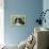 Bernese Mountain Dog 38-Bob Langrish-Framed Premier Image Canvas displayed on a wall
