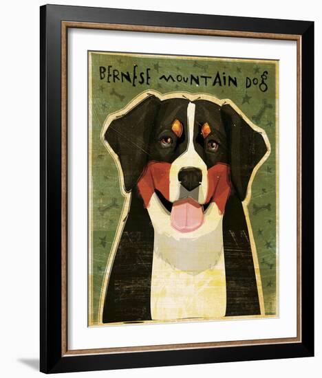 Bernese Mountain Dog-John Golden-Framed Giclee Print