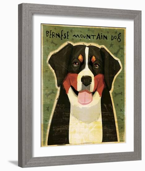 Bernese Mountain Dog-John Golden-Framed Giclee Print