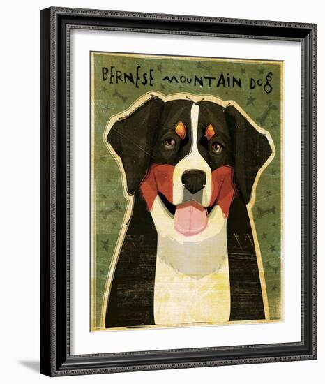 Bernese Mountain Dog-John Golden-Framed Giclee Print