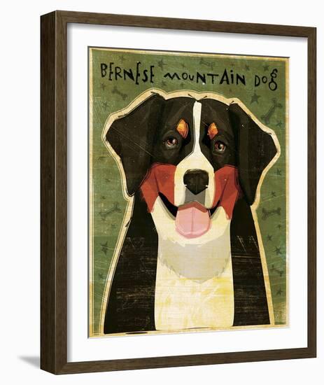 Bernese Mountain Dog-John Golden-Framed Giclee Print