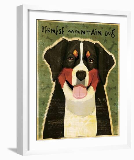 Bernese Mountain Dog-John Golden-Framed Giclee Print