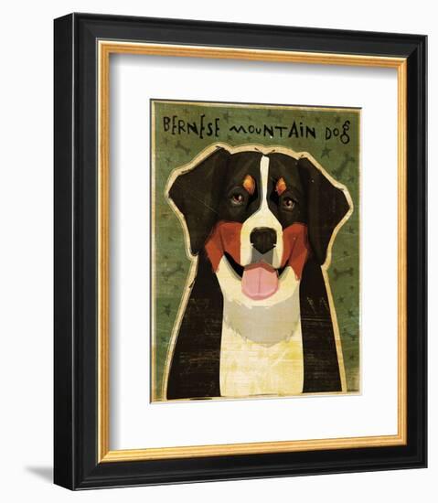 Bernese Mountain Dog-John W^ Golden-Framed Art Print