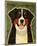 Bernese Mountain Dog-John W^ Golden-Mounted Art Print