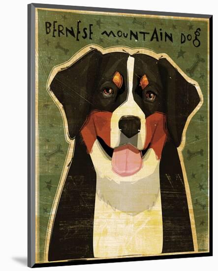 Bernese Mountain Dog-John W^ Golden-Mounted Art Print