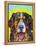 Bernese Mountain Dog-Dean Russo-Framed Premier Image Canvas