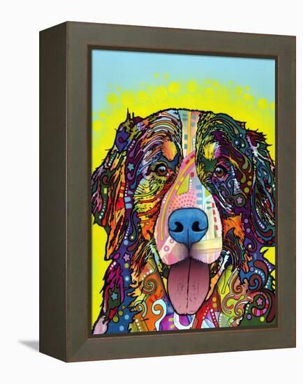 Bernese Mountain Dog-Dean Russo-Framed Premier Image Canvas