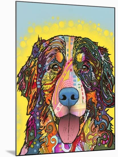 Bernese Mountain Dog-Dean Russo-Mounted Giclee Print