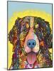 Bernese Mountain Dog-Dean Russo-Mounted Giclee Print