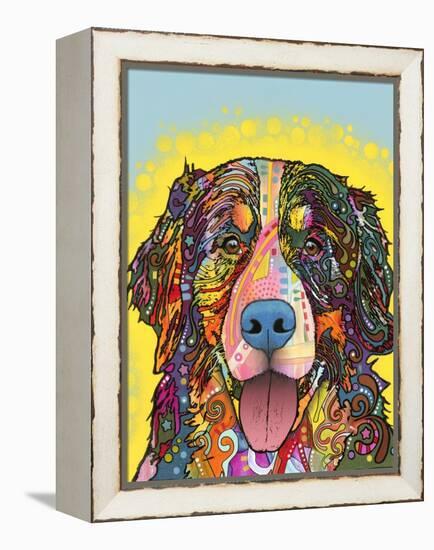 Bernese Mountain Dog-Dean Russo-Framed Premier Image Canvas