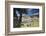 Bernina Express train runs past the village of St. Moritz surrounded by lake, Canton of Graubunden,-Roberto Moiola-Framed Photographic Print