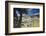 Bernina Express train runs past the village of St. Moritz surrounded by lake, Canton of Graubunden,-Roberto Moiola-Framed Photographic Print