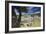 Bernina Express train runs past the village of St. Moritz surrounded by lake, Canton of Graubunden,-Roberto Moiola-Framed Photographic Print