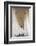 Bernini's 17th Century Colonnade, Lazio-Nico Tondini-Framed Photographic Print