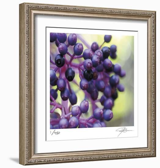 Berries 2-Ken Bremer-Framed Limited Edition