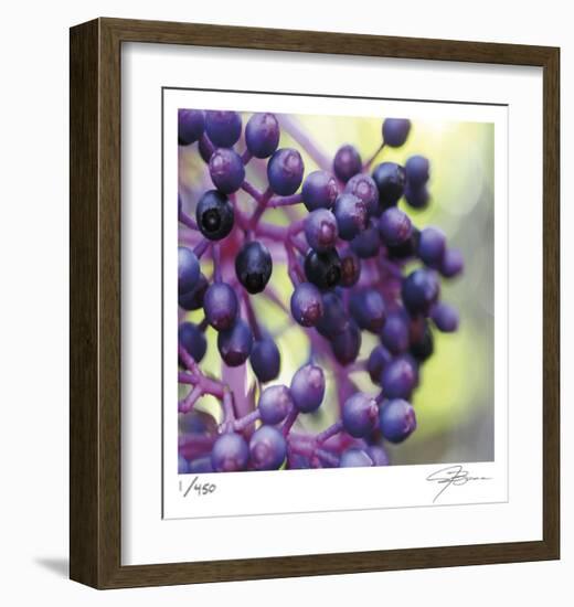 Berries 2-Ken Bremer-Framed Limited Edition