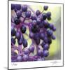Berries 2-Ken Bremer-Mounted Limited Edition