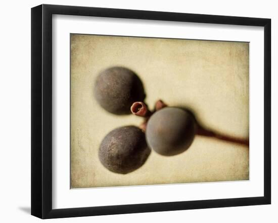 Berries 4-Jessica Rogers-Framed Giclee Print