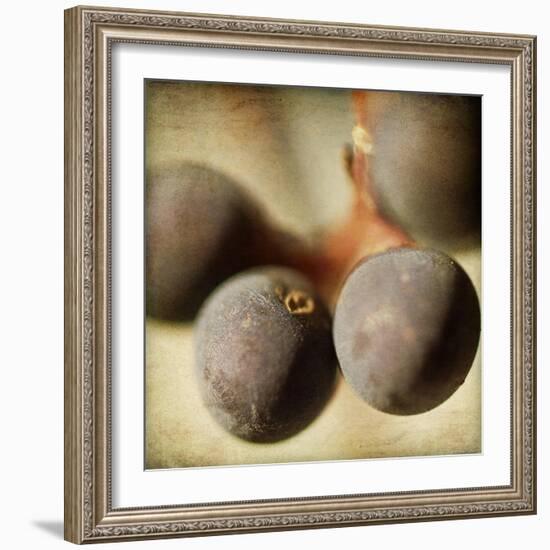 Berries 5-Jessica Rogers-Framed Giclee Print