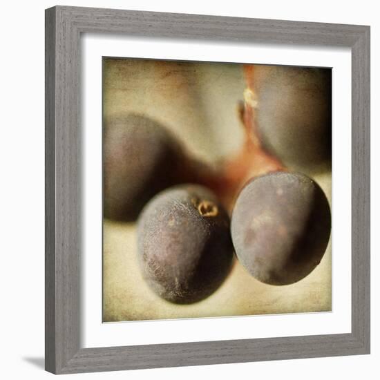 Berries 5-Jessica Rogers-Framed Giclee Print