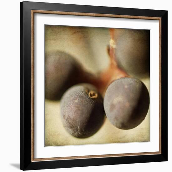 Berries 5-Jessica Rogers-Framed Giclee Print